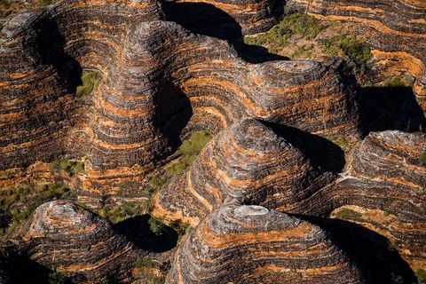 Bungle Bungle Scenic Flights, Domes & Cathedral Gorge Walk - Accommodation Daintree 4