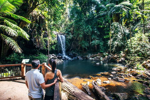Aquaduck & Your Choice Of Gold Coast Rainforest Tour - Accommodation Daintree 0