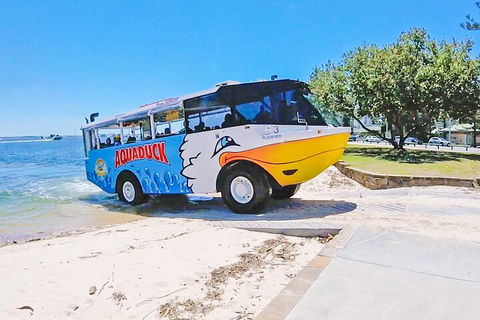 Aquaduck & Your Choice Of Gold Coast Rainforest Tour - Accommodation Daintree 1