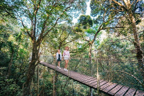 Aquaduck & Your Choice Of Gold Coast Rainforest Tour - Accommodation Daintree 4