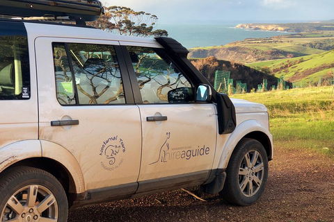 Kangaroo Island 4WD Tour - Best Of KI In 2 Days - Accommodation Daintree 4