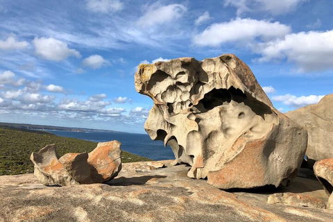 Kangaroo Island 4WD Tour - Best Of KI In 2 Days - Accommodation Daintree 5
