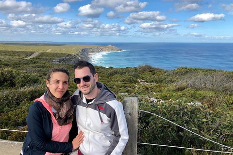 Kangaroo Island 4WD Tour - Flinders Chase - Accommodation Daintree 1
