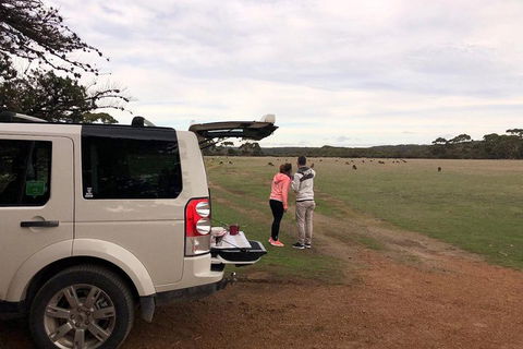Kangaroo Island 4WD Tour - Flinders Chase - Accommodation Daintree 3