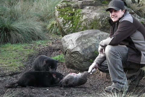 After Dark Tasmanian Devil Feeding Tour At Cradle Mountain - Accommodation Daintree 2