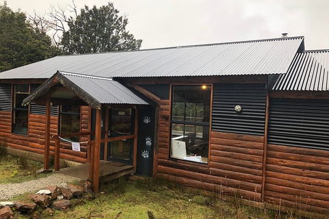 After Dark Tasmanian Devil Feeding Tour At Cradle Mountain - Accommodation Daintree 3