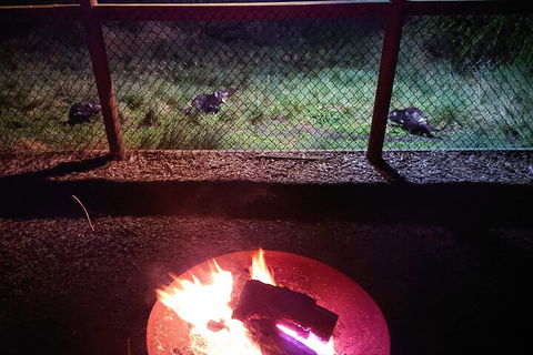 Sunset Experience - Accommodation Daintree 5