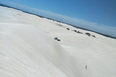 Yanchep & Lancelin - Wildlife, Cave And Sands - Accommodation Daintree 3