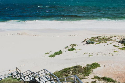 Yanchep & Lancelin - Wildlife, Cave And Sands - Accommodation Daintree 5
