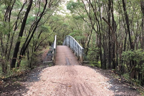 3d/2n Themed Camping Getaway - Private Campgrounds And National Parks - Accommodation Daintree 2
