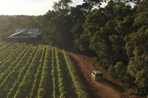 The All About Margaret River Tour: Wine, Coffee, Lunch And Forest - Accommodation Daintree 1