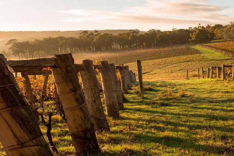The All About Margaret River Tour: Wine, Coffee, Lunch And Forest - Accommodation Daintree 5