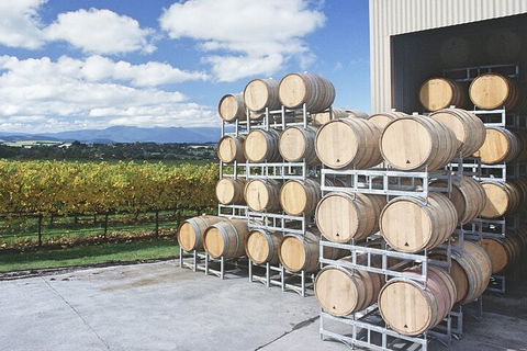 Yarra Valley Wine Tour Inc Lunch With A Glass Of Wine, Tastings And Chocolate - Accommodation Daintree 4