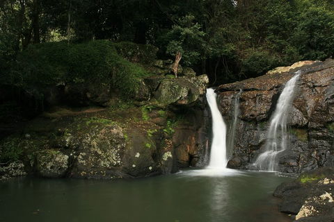 Hinterland Magic & Glow-worm Experience - Accommodation Daintree 2
