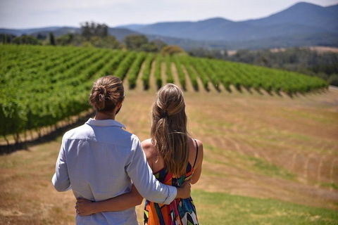 Yarra Valley Wine, Bubbles And Gin Tour! - Accommodation Daintree 4