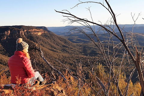 Ultimate Blue Mountains Waterfalls, Walks & Sunset PRIVATE Tour - Accommodation Daintree 2