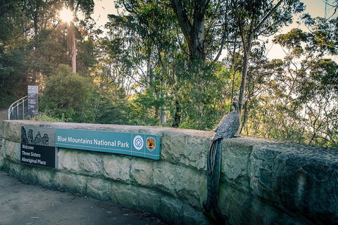 Ultimate Blue Mountains Waterfalls, Walks & Sunset PRIVATE Tour - Accommodation Daintree 3