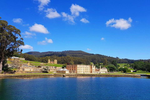 Tasmania 4 Day East Coast + Launceston - Accommodation Daintree 0