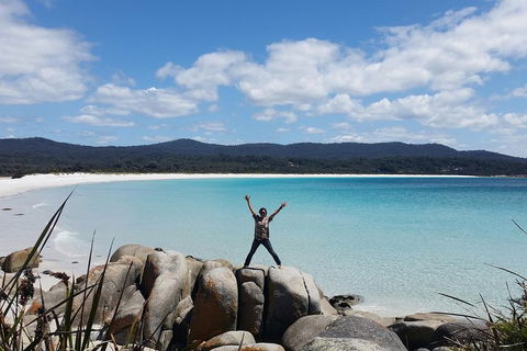 Tasmania 4 Day East Coast + Launceston - Accommodation Daintree 1