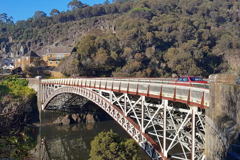 Tasmania 4 Day East Coast + Launceston - Accommodation Daintree 5