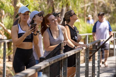 Cabaret Cave Yoga & Mindful Hike - Accommodation Daintree 0
