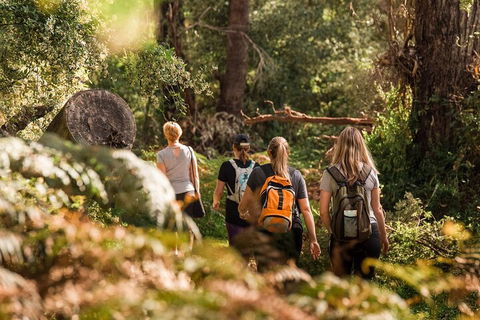 Cabaret Cave Yoga & Mindful Hike - Accommodation Daintree 2