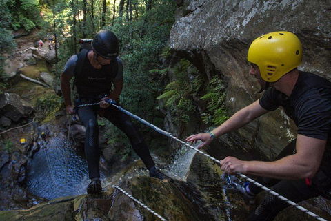 Blue Mountains Empress Canyon Adventure From Wentworth Falls - Accommodation Daintree 2