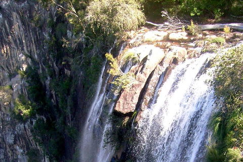 Byron Bay Combo: Hinterland Tour Including Minyon Falls And Kayaking With Dolphins - Accommodation Daintree 3