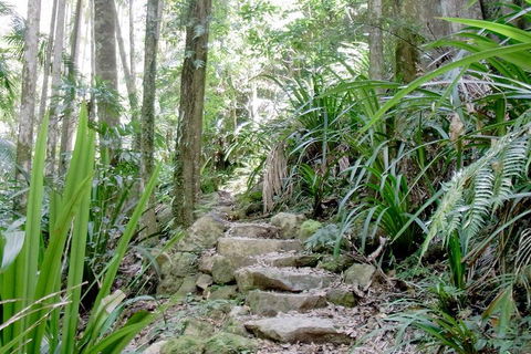 Byron Bay Combo: Hinterland Tour Including Minyon Falls And Kayaking With Dolphins - Accommodation Daintree 5