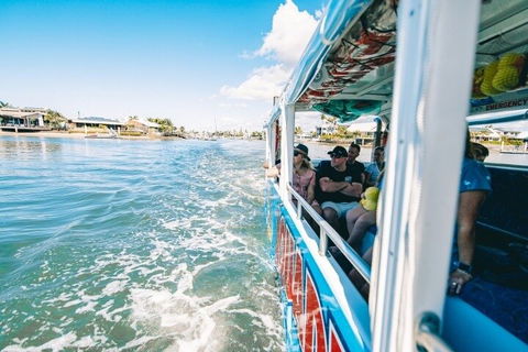 Aquaduck Sunshine Coast - Accommodation Daintree 5
