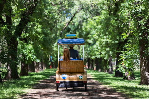 Adelaide 90-Minute Pedicab Tour: Scenic Green & River Experience - Accommodation Daintree 2