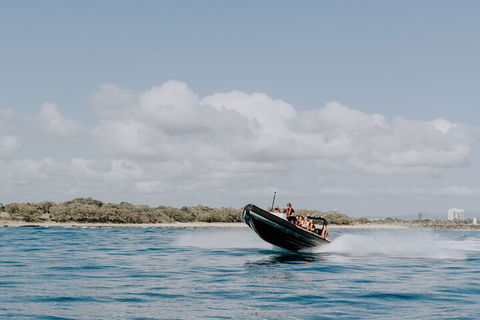 Adventure Rafting - Accommodation Daintree 3