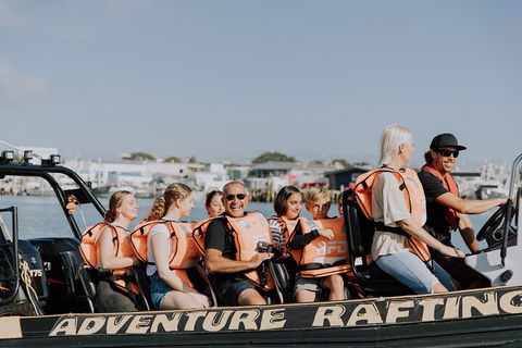 Adventure Whale Watching Tour Mooloolaba - Accommodation Daintree 4