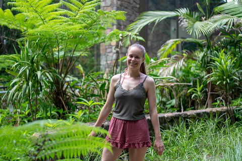 Full-Day Guided Hinterland Adventure Tour In Queensland - Accommodation Daintree 0
