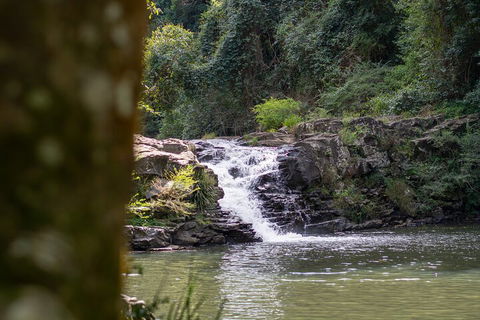 Full-Day Guided Hinterland Adventure Tour In Queensland - Accommodation Daintree 1
