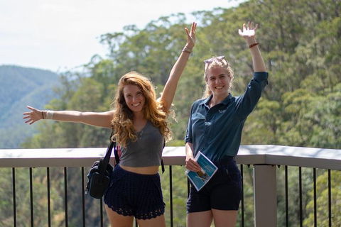 Full-Day Guided Hinterland Adventure Tour In Queensland - Accommodation Daintree 3