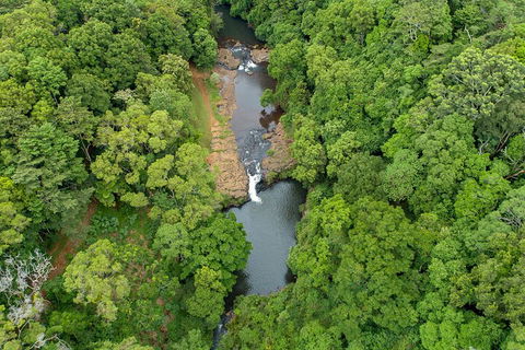 Full-Day Guided Hinterland Adventure Tour In Queensland - Accommodation Daintree 4
