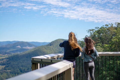 Full-Day Guided Hinterland Adventure Tour In Queensland - Accommodation Daintree 5
