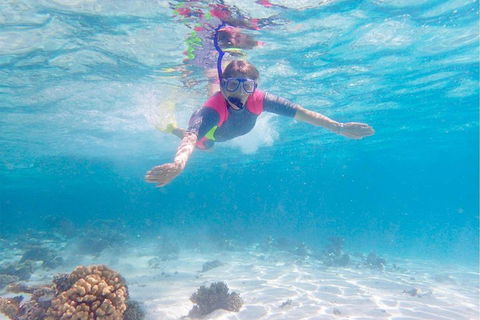 Lagoon Explorer - Ningaloo Reef Full-Day Kayaking And Snorkeling Adventure - Accommodation Daintree 5