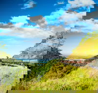 4-Day Cairns and Great Barrier Reef Tour - Accommodation Daintree