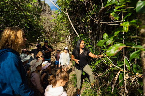 Cape Byron Aboriginal Tour - Accommodation Daintree 4