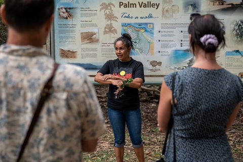 Cape Byron Aboriginal Tour - Accommodation Daintree 5