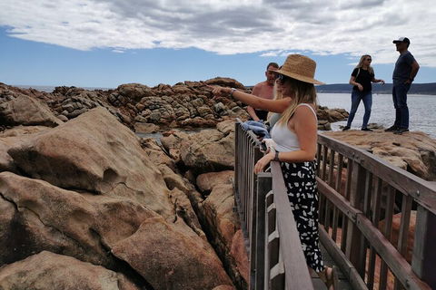 Margaret River Impression Day Tour From Perth - Accommodation Daintree 4