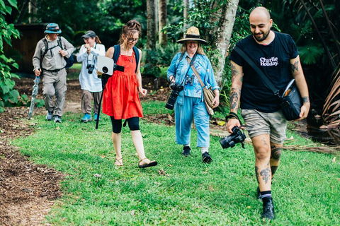 Let's Go Buggin & Let's Go Shroomin - Photography & Nature Walking Tours - Accommodation Daintree 0