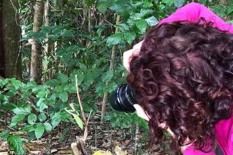 Let's Go Buggin & Let's Go Shroomin - Photography & Nature Walking Tours - Accommodation Daintree 1