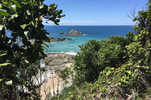 Behind The Bay - Explore Like A Local - Accommodation Daintree 1