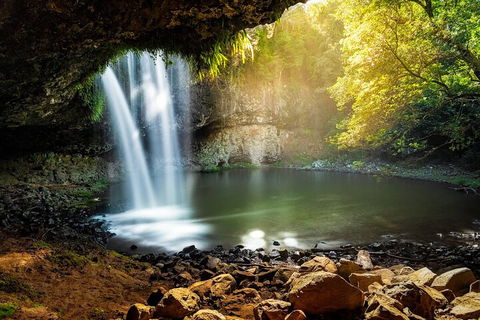 Behind The Bay - Explore Like A Local - Accommodation Daintree 2