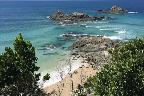 Behind The Bay - Explore Like A Local - Accommodation Daintree 3