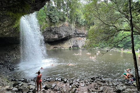 Behind The Bay - Explore Like A Local - Accommodation Daintree 4