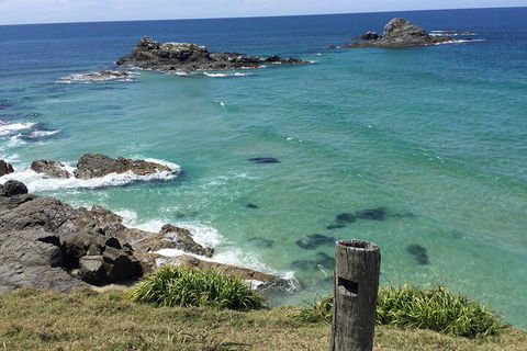 Behind The Bay - Explore Like A Local - Accommodation Daintree 5